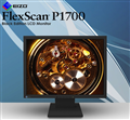 Màn hình EIZO FlexScan P1700 LCD 17inch dùng trong văn phòng đồ họa